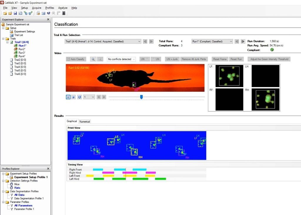 catwalk screenshot footprint classification gait analysis