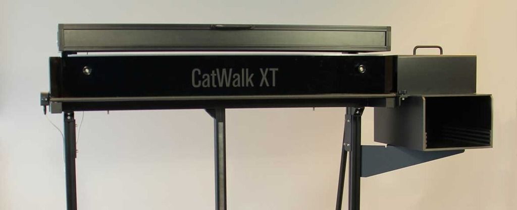 CatWalk XT