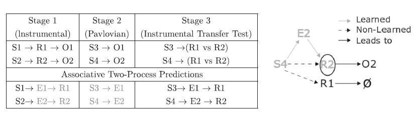 Classic Associative Two Process blog post Lowe