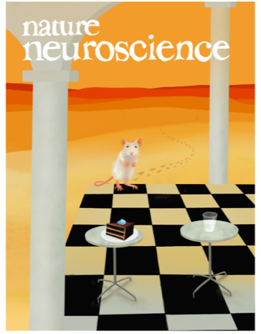 cover nature neuroscience