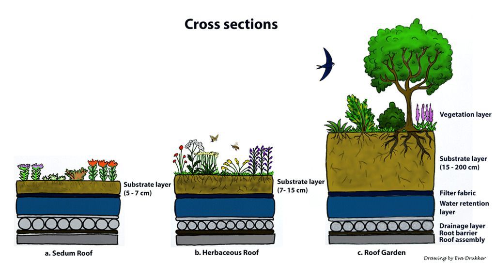 Cross sections green roof