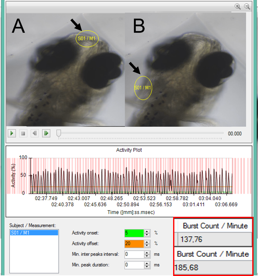 DanioScope breathing zebrafish