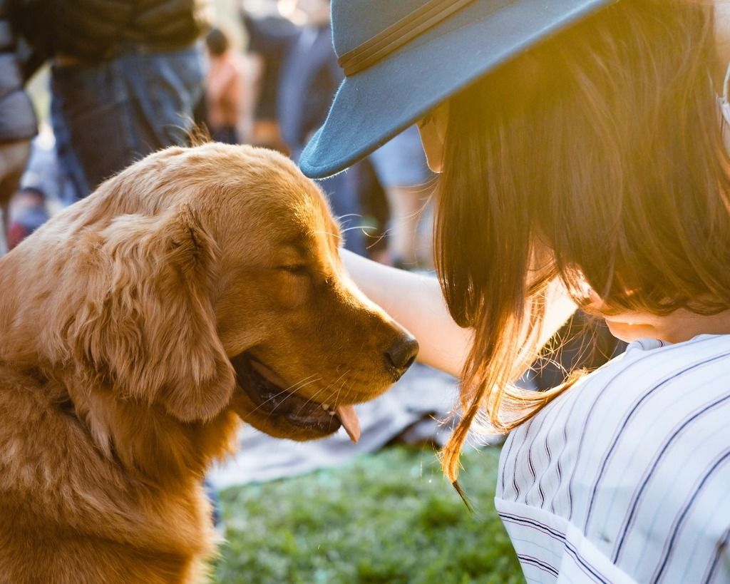 dog girl hat therapy