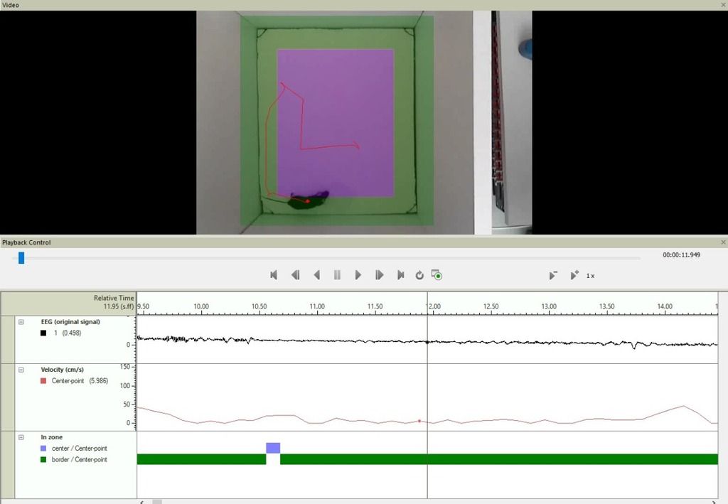 EEG Ethovision integration