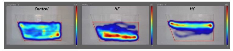 Effects of diet on zebrafish