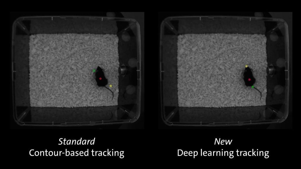 ethovision deep learning swap