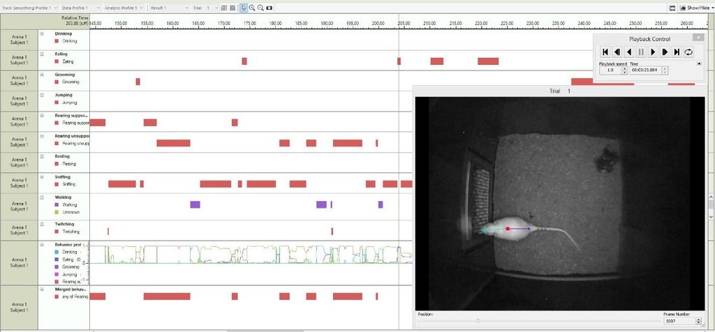 ethovision rat behavior recognition integrated visualization