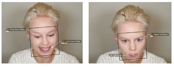 FaceReader screenshot study Lowe et al