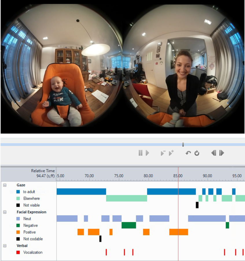 Figure 2 Visualization The Observer XT study Salvadori et al