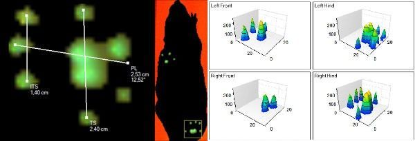 Footprint Calculations Catwalk