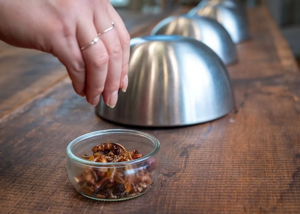 Insects as food