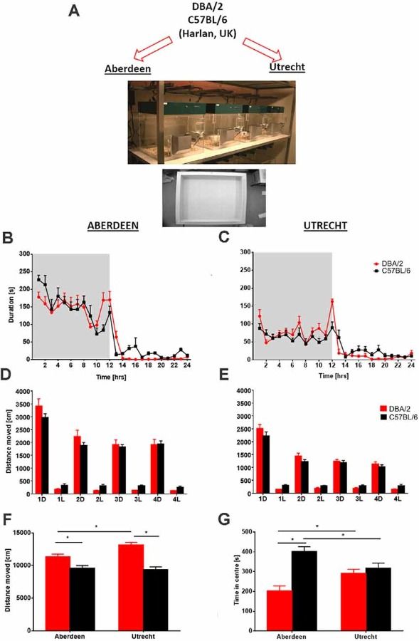 Grieco et al 2021 variation