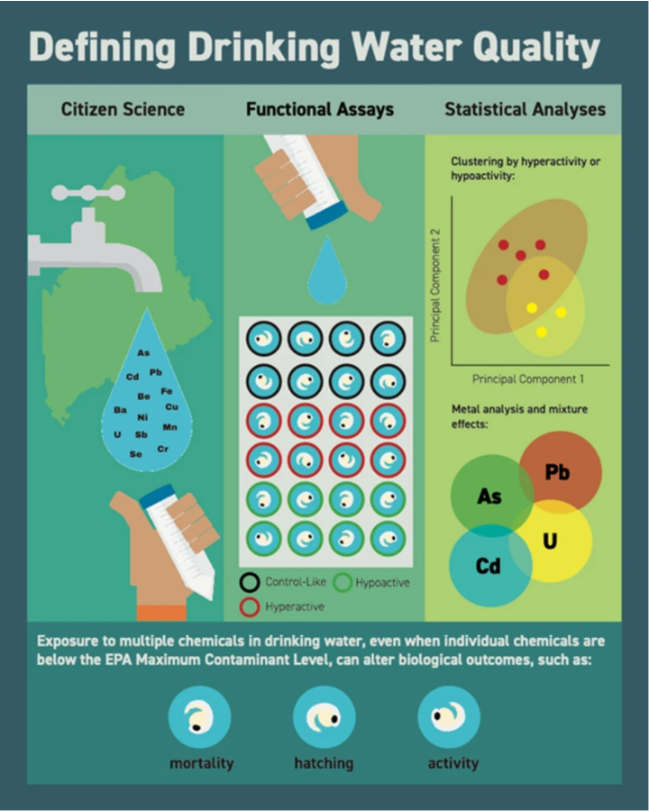 infographic citizen science