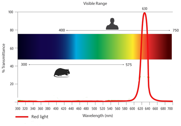 Mouse color vision