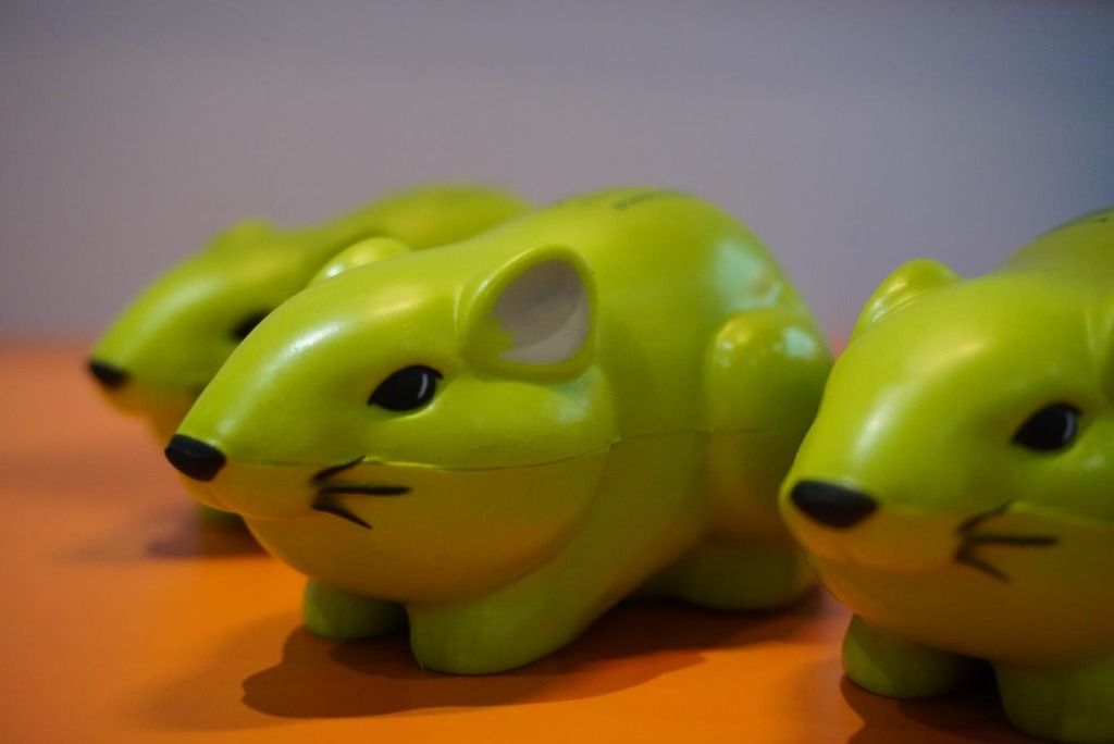 Noldus-green-mouse