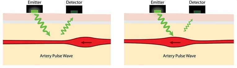 Optical Heart Rate Sensing