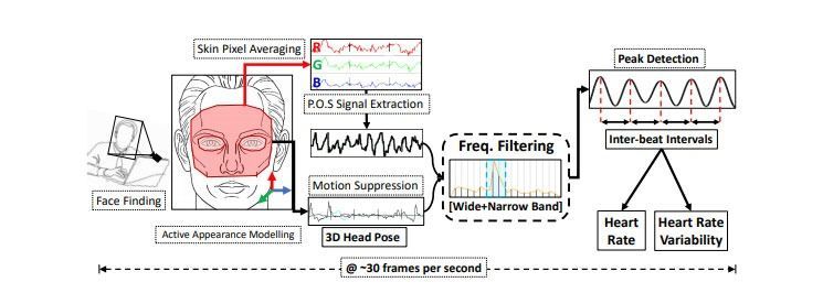 Overview heart rate and HRV