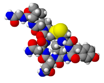 Oxytocin