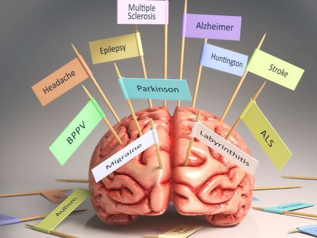 Picture of brain with flags