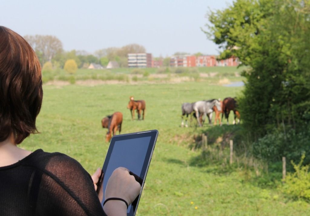 Pocket Observer horses tablet