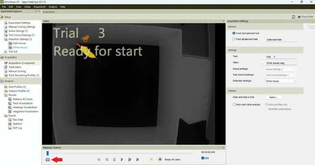 Reset the background EthoVision XT