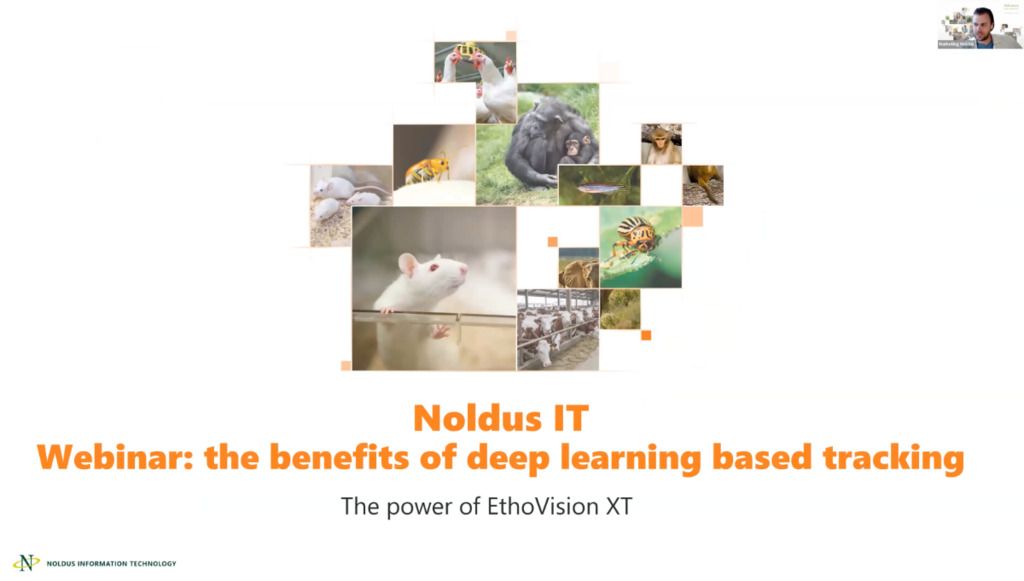 screenshot webinar deep learning