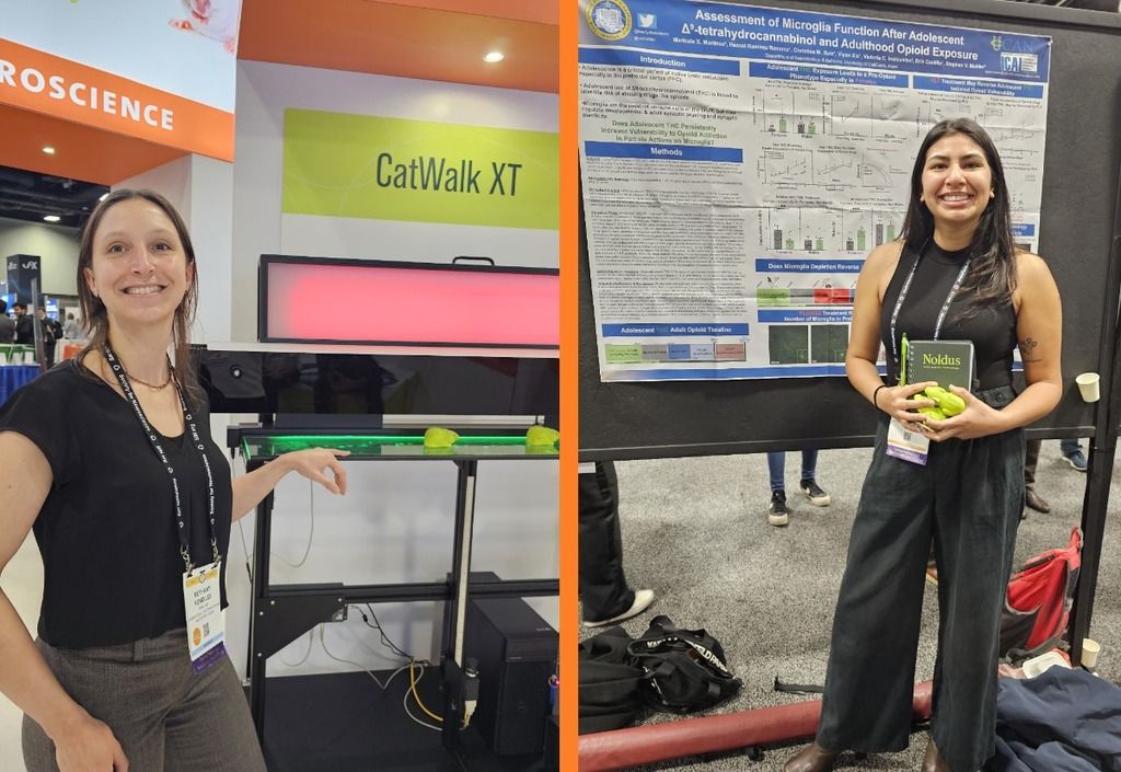 SfN 2023 abstract prize winners