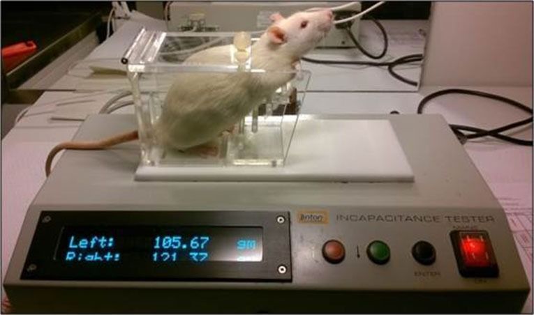 White rat lintons incapacitance tester