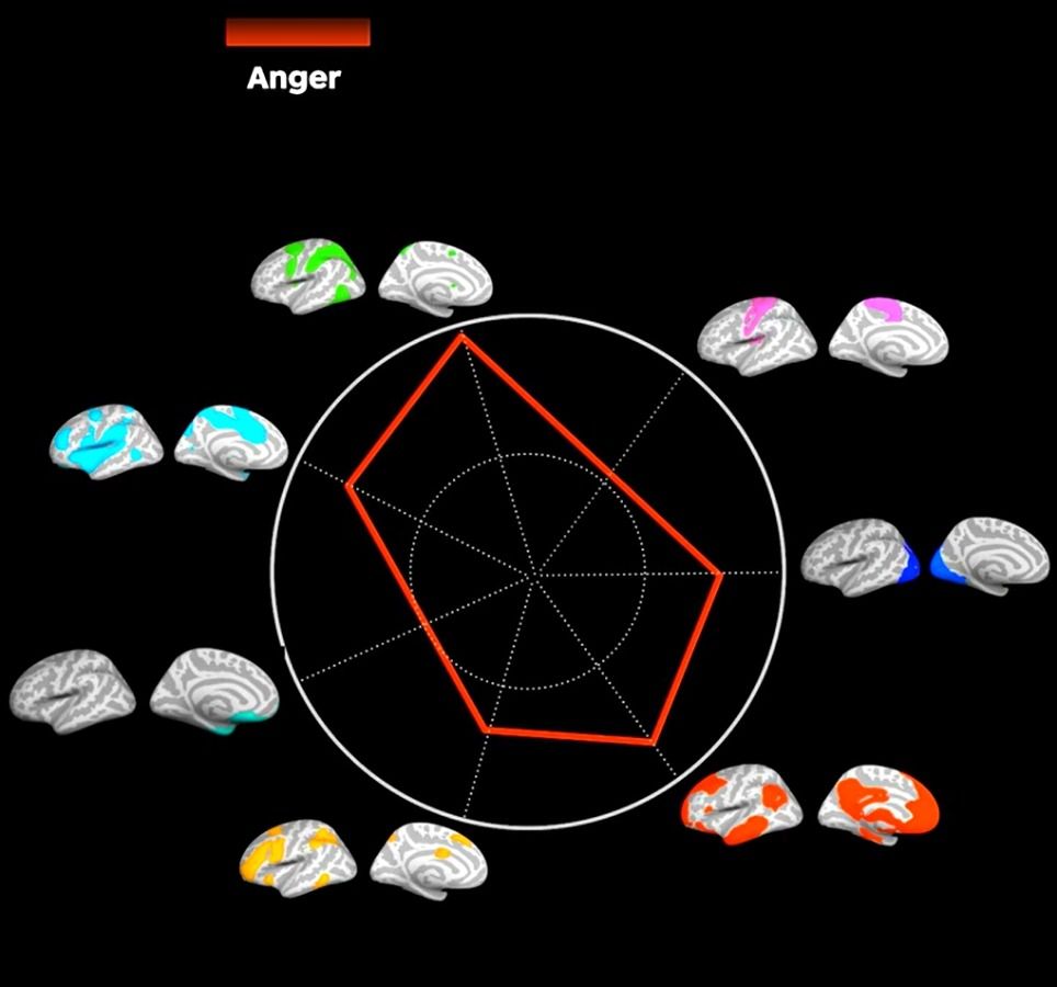 Workshop emotions anger average recipe