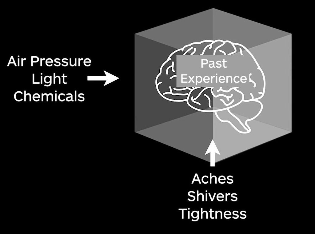 Workshop emotions interoceptive network