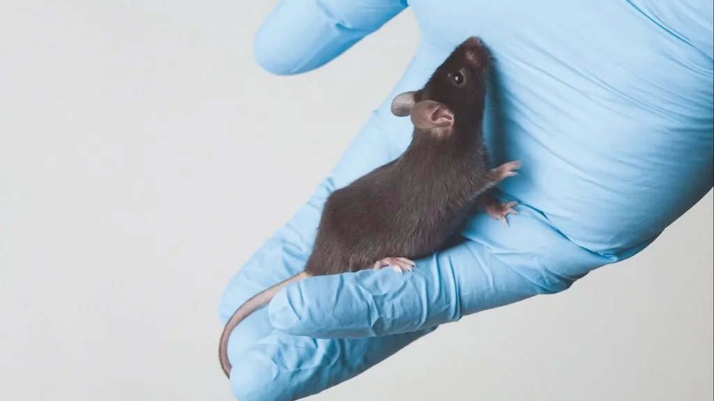 All the little things that affect your animals' behavior