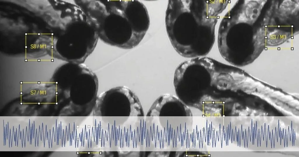 Breathe easy, a novel approach to monitoring respiratory activity in zebrafish