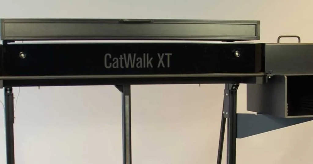 Gait analysis at the PSDL using CatWalk