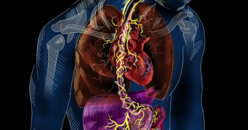 Our gut microbiota influences how we feel