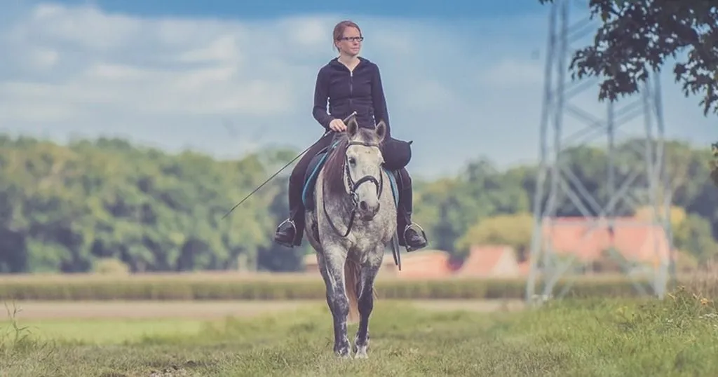 Which head and neck positions are stressful for your horse during lunging?