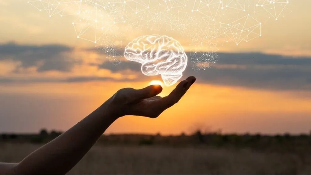 about-noldus-brain-hand-sunset-science