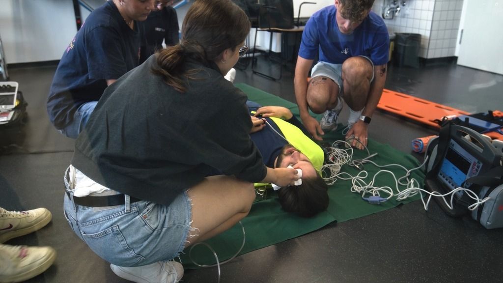 Preparing future healthcare professionals