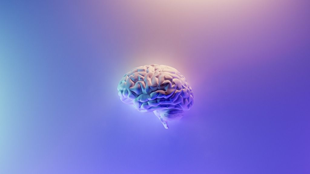 Cognition and memory research