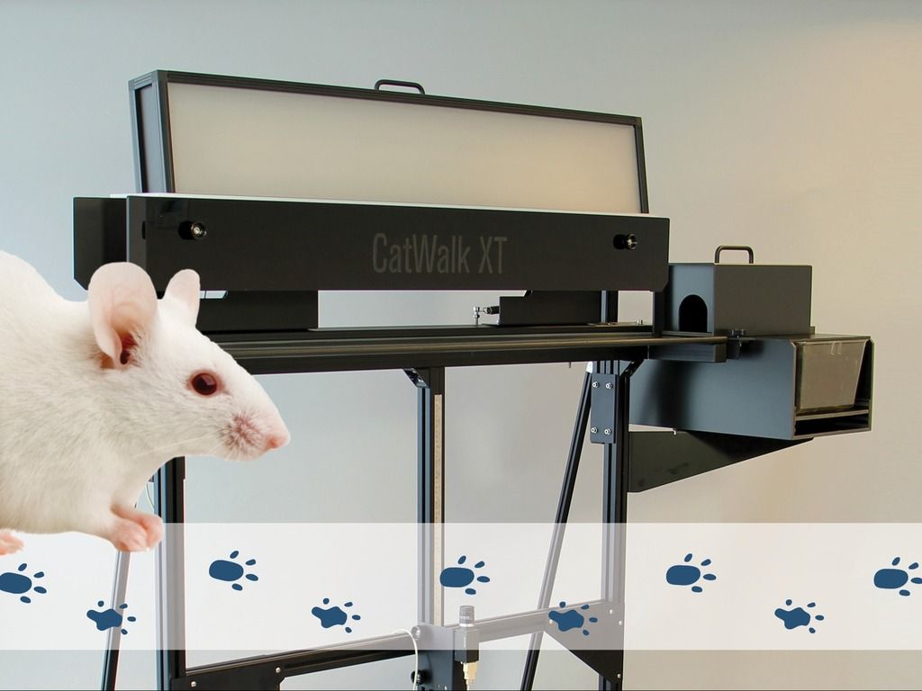 CatWalk XT with mouse