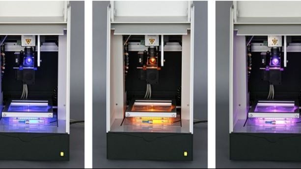 damaged nerves on spine and hips