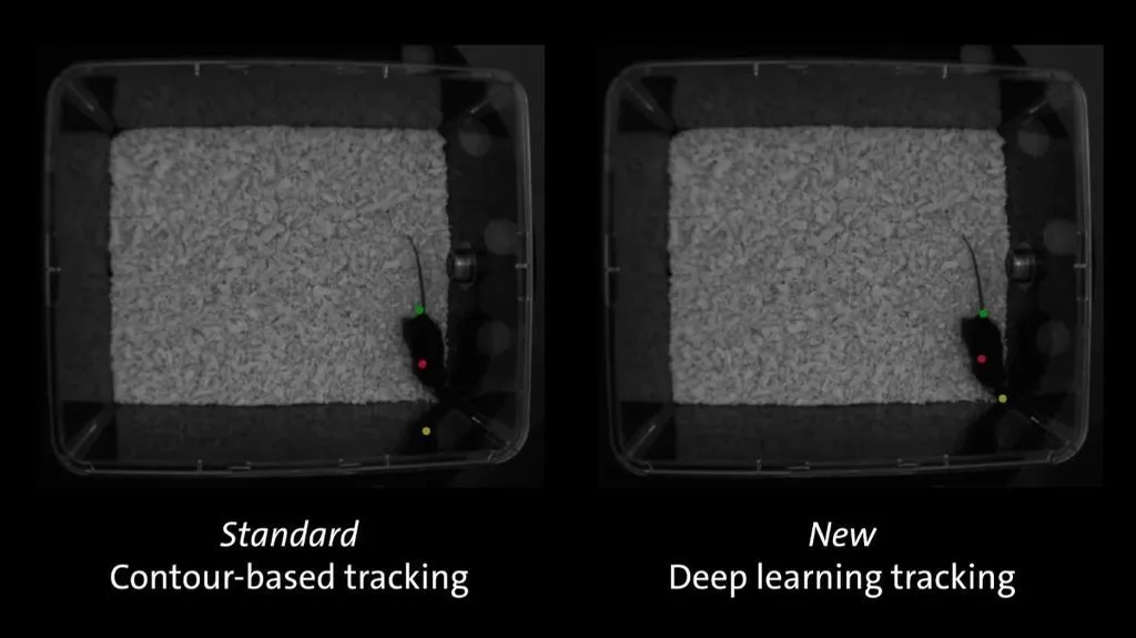 EVXT deep learning