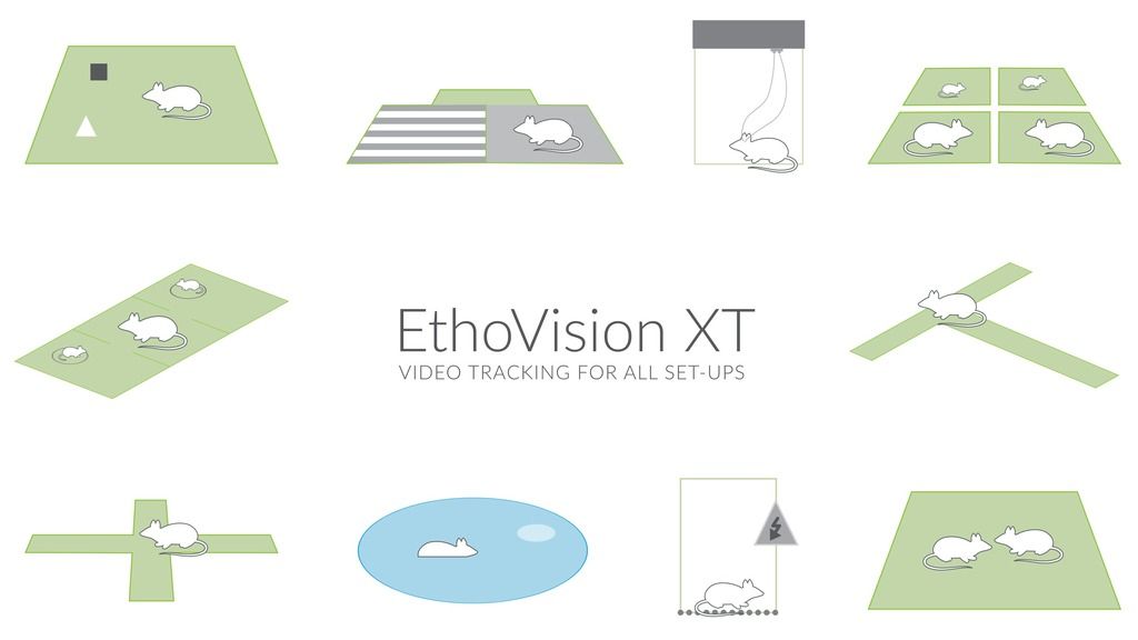 EthoVision tracking for any maze or set-up