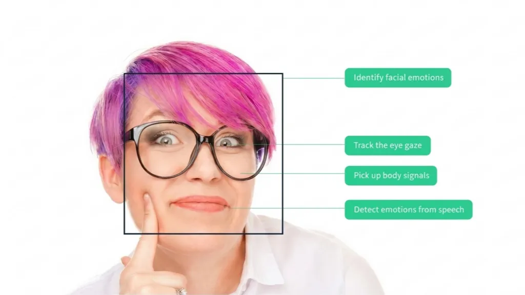 FaceReader feature overview
