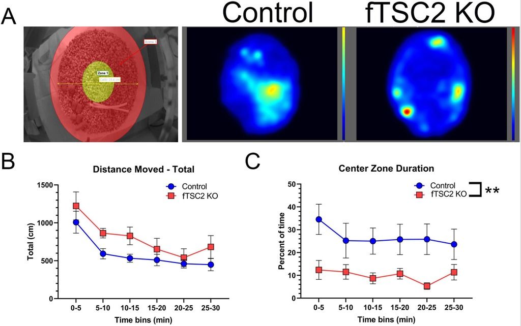Figure 5: Focal Tsc2 knockout (fTSC2 KO) mice display thigmotaxic behavior.