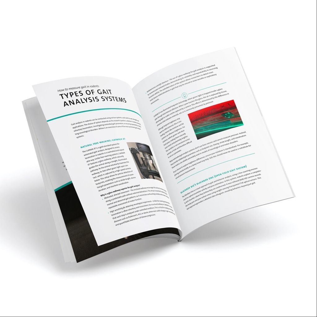 Gait analysis ebook