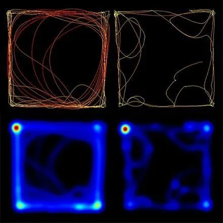 Heatmaps and behavioral tracks from EthoVision XT