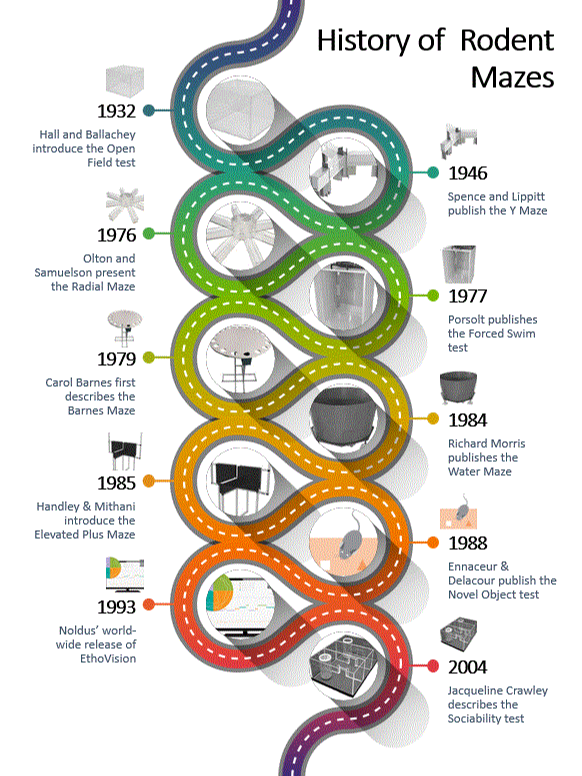 history of mazes