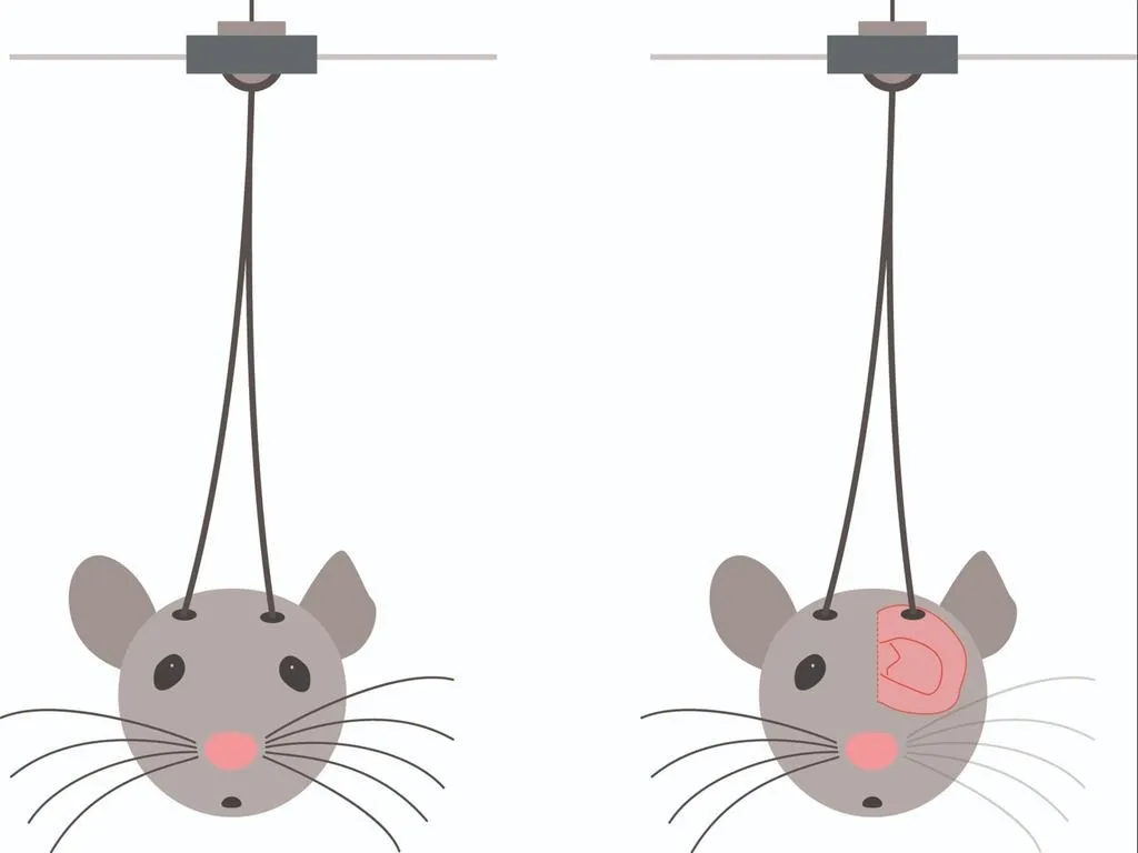 optogenetic mice illustration