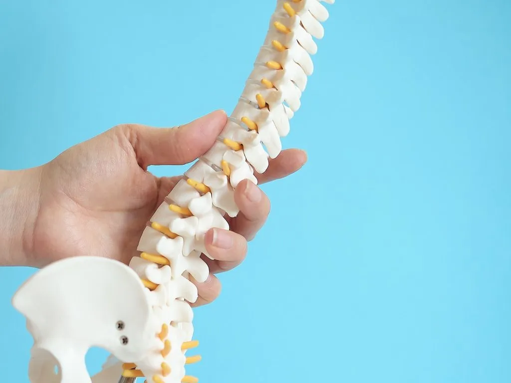 Person holding spine