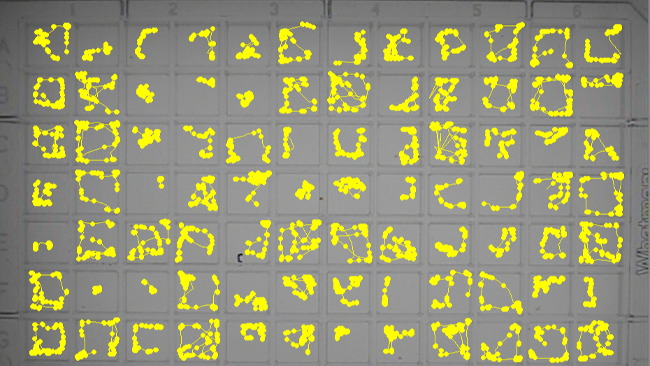 EthoVision XT tracking in DanioVision